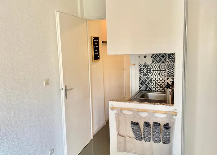 Calme Et Confort - Saint-cyprien - Pont Neuf Tuluza